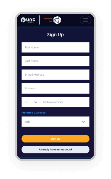 Punt Crypto