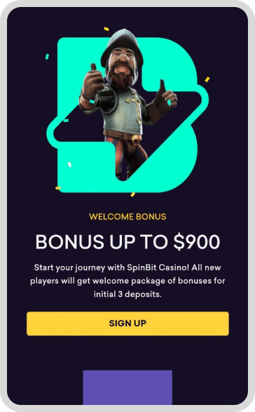 SpinBit